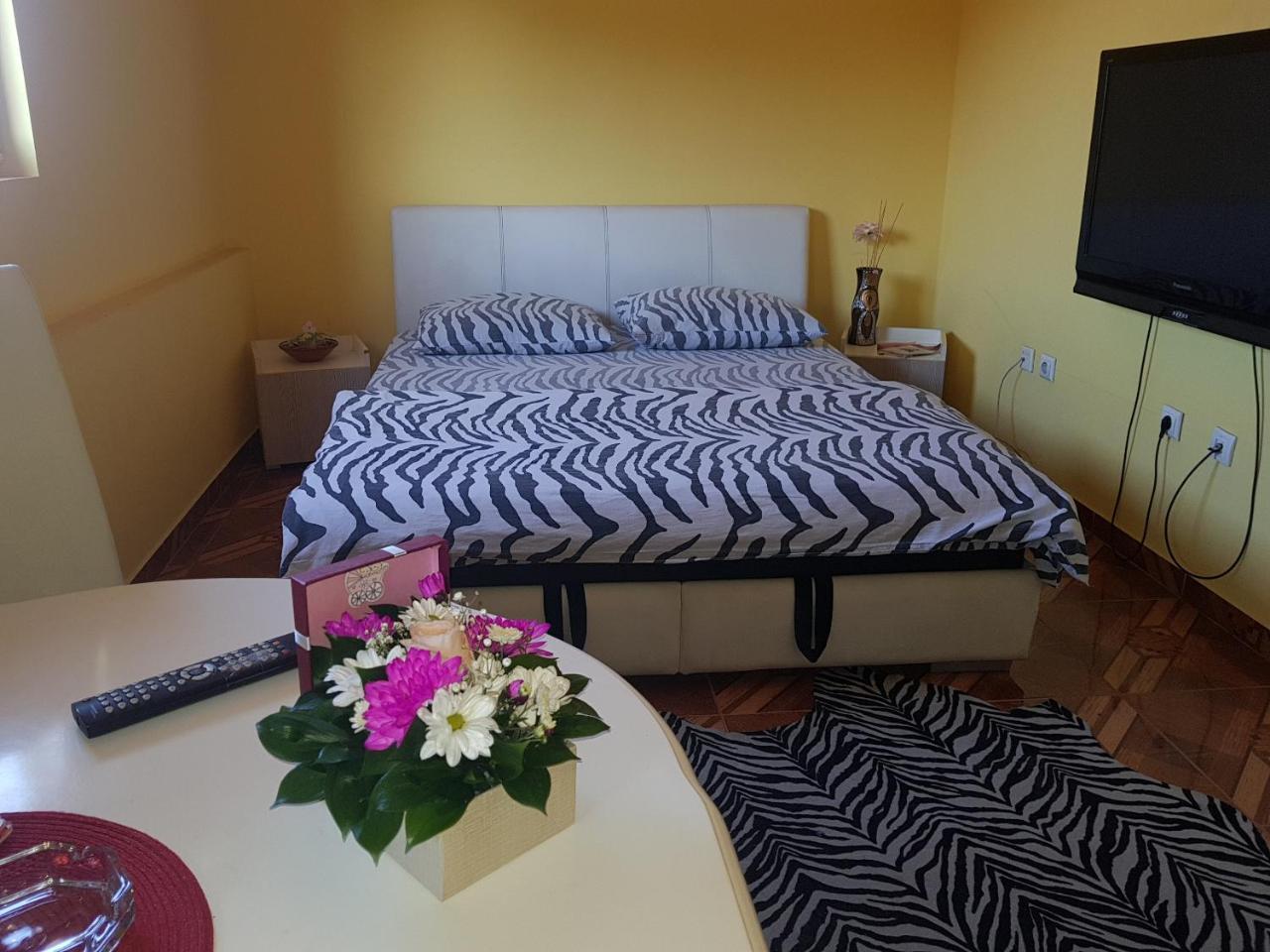 Apartments Maca Novi Sad Rom bilde